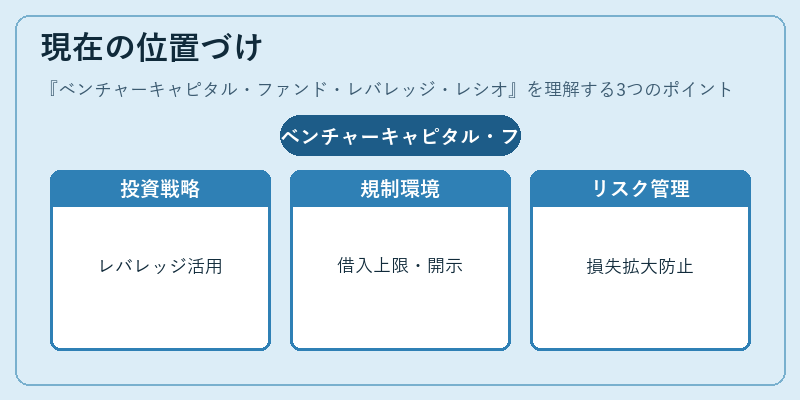 現在の位置づけ（ベンチャーキャピタル・ファンド・レバレッジ・レシオ）の図解
