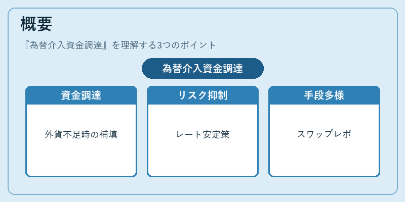 概要（為替介入資金調達）の図解