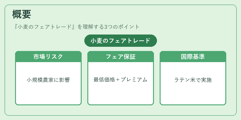 概要（小麦のフェアトレード）の図解