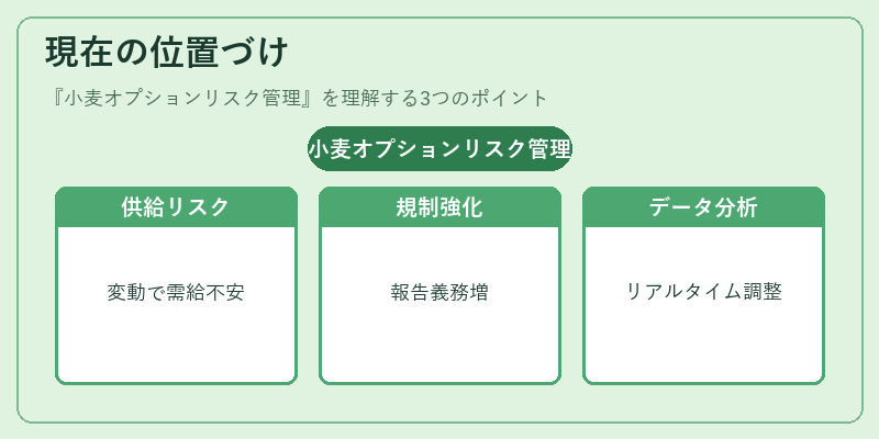 現在の位置づけ(小麦オプションリスク管理)の図解