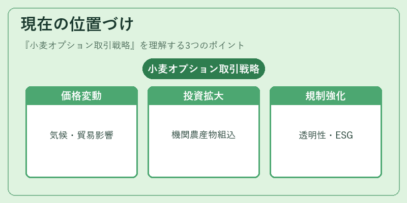現在の位置づけ（小麦オプション取引戦略）の図解