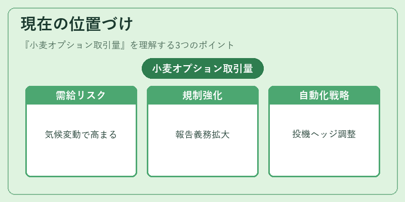 現在の位置づけ(小麦オプション取引量)の図解