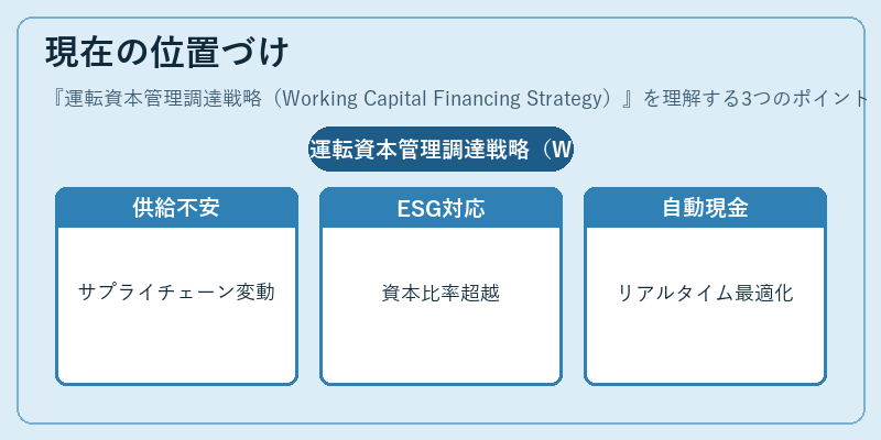 現在の位置づけ(運転資本管理調達戦略(Working Capital Financing Strategy))の図解