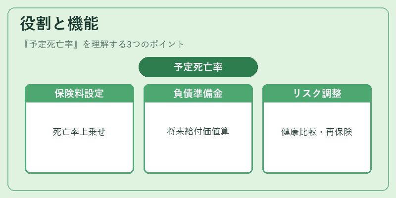 役割と機能（予定死亡率）の図解