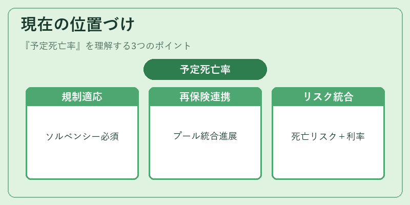 現在の位置づけ（予定死亡率）の図解