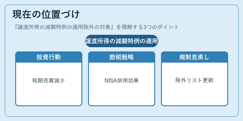 現在の位置づけ（譲渡所得の減額特例の適用除外の対象）の図解