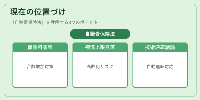 現在の位置づけ(自賠責保険法)の図解