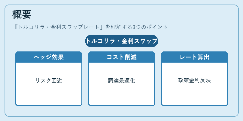 概要（トルコリラ・金利スワップレート）の図解
